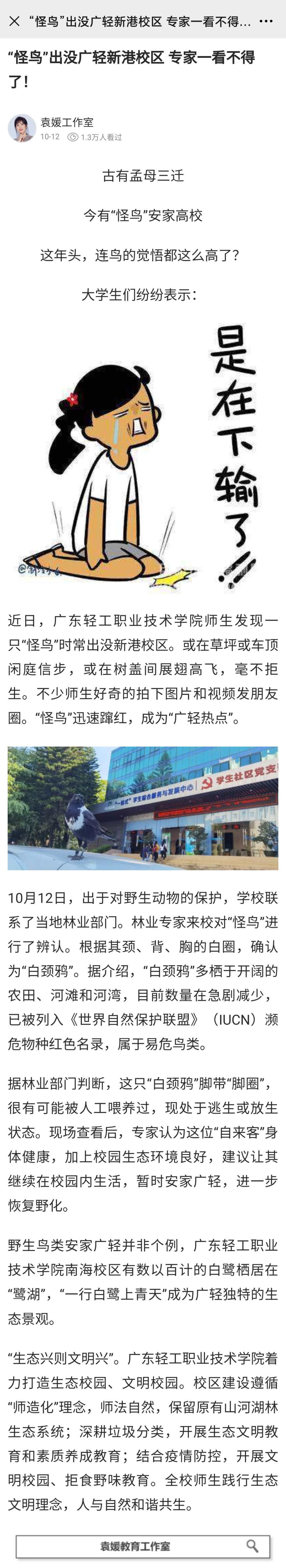 04C847359E288A2C9F6CF905825_B9AD3029_90023