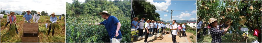 54806260D83DD079ED42A794D06_E6D0E207_D2F0