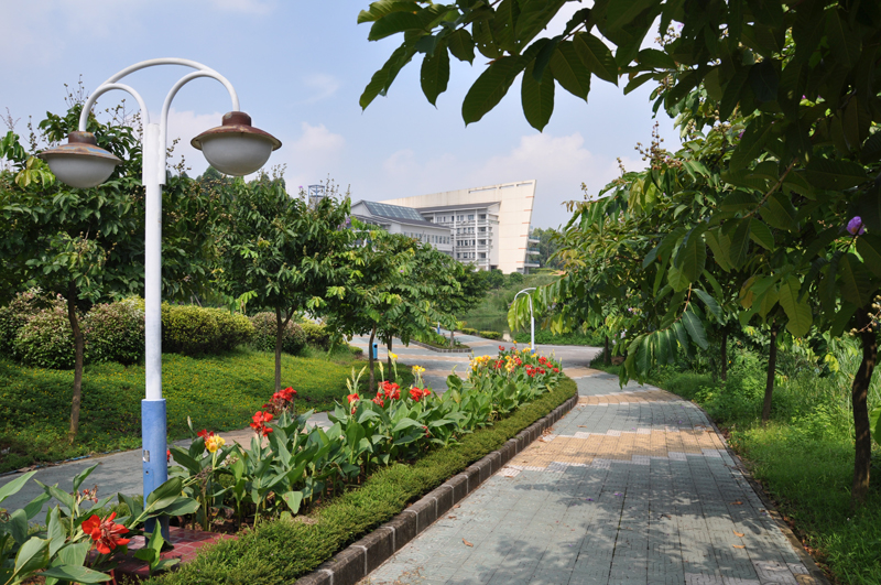 D14F35C8CC699CB4A2EBC3EE018_5BB405F1_835B9.jpg?e=